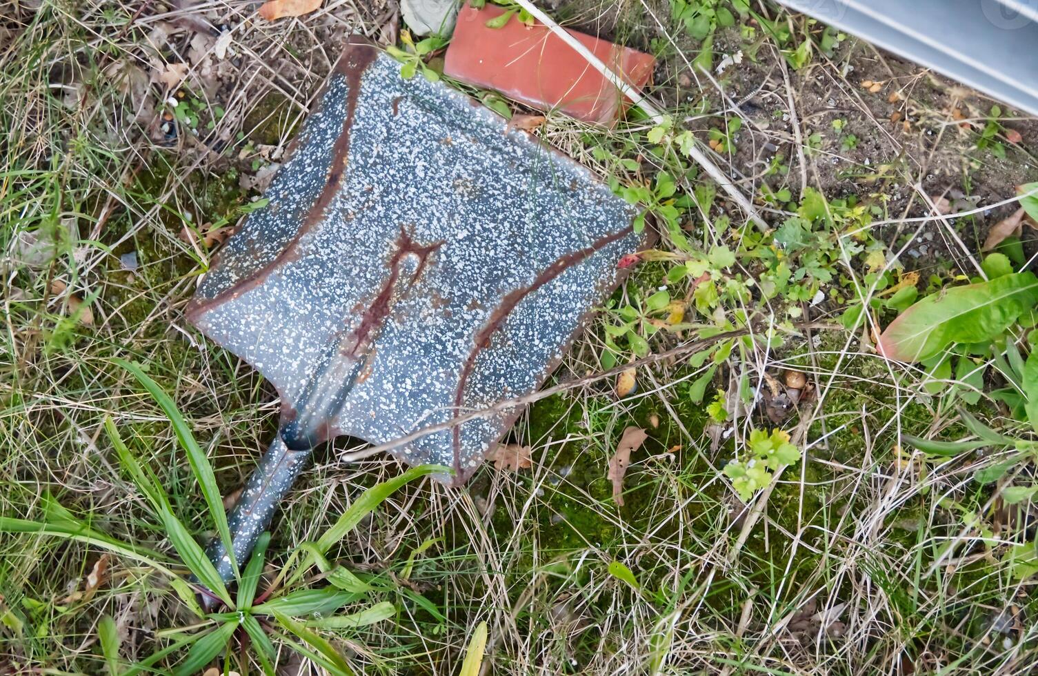 Rusty Shovel on Overgrown Ground photo