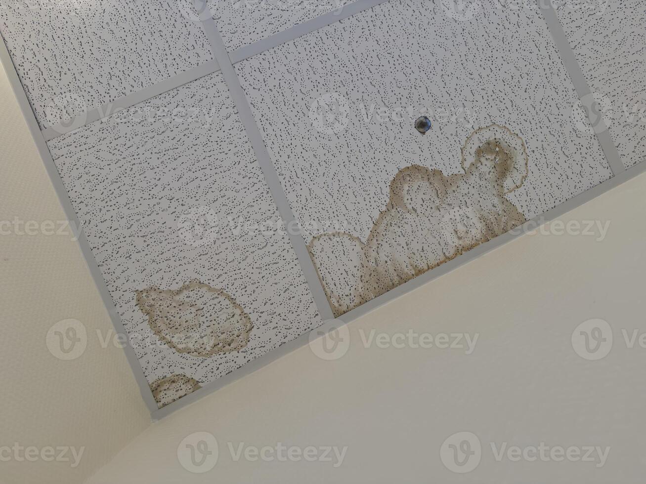 A close-up view of a ceiling with water damage, showing brown stains and discoloration on the tiles. The texture of the ceiling tiles is visible, with a few spots of mold or moisture. photo
