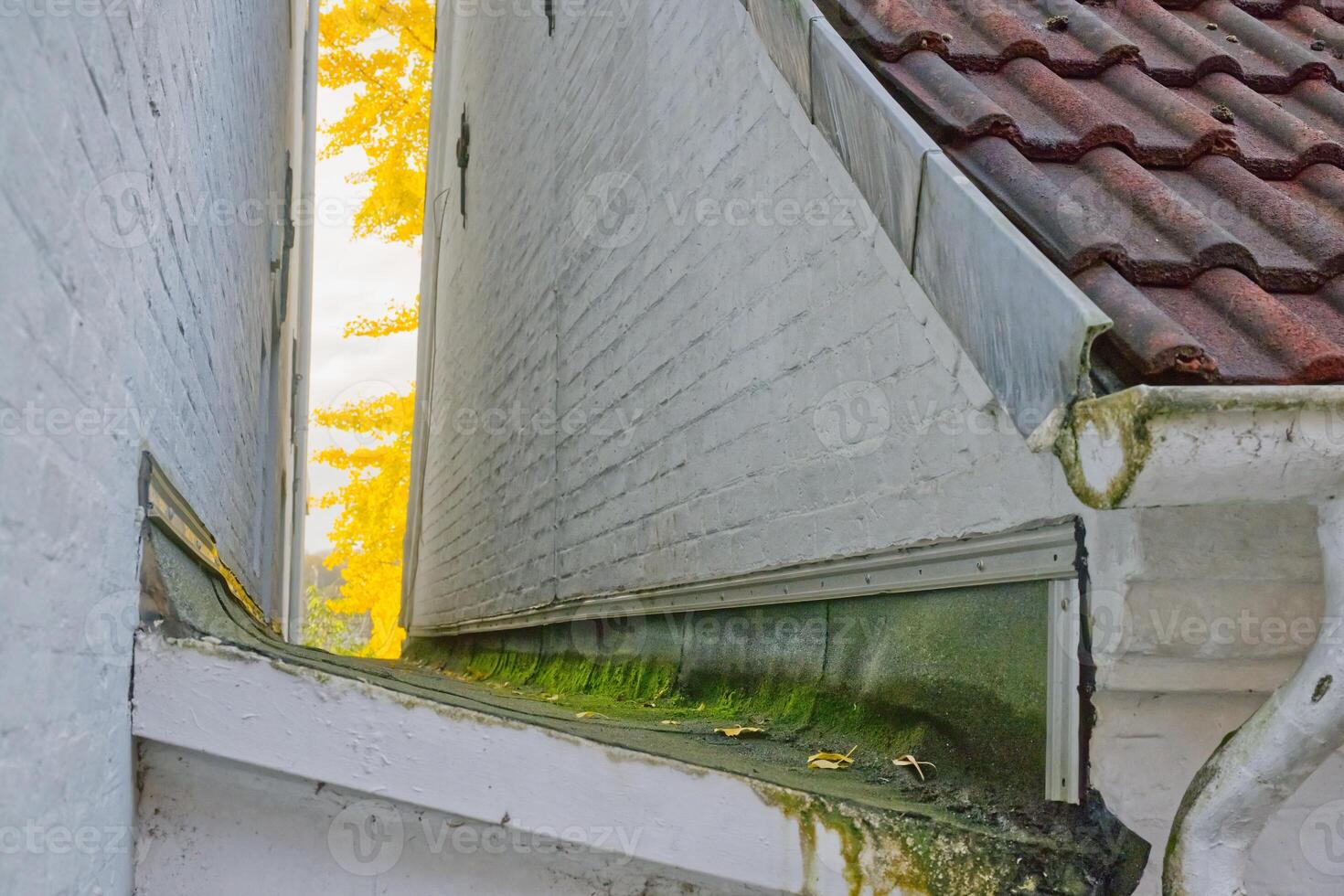 Narrow Gap with Vibrant Foliage View photo