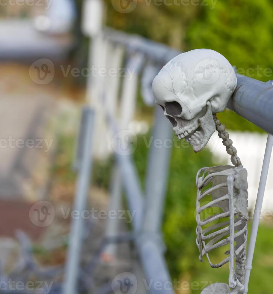 Whimsical Skeleton Hanging on Railing photo