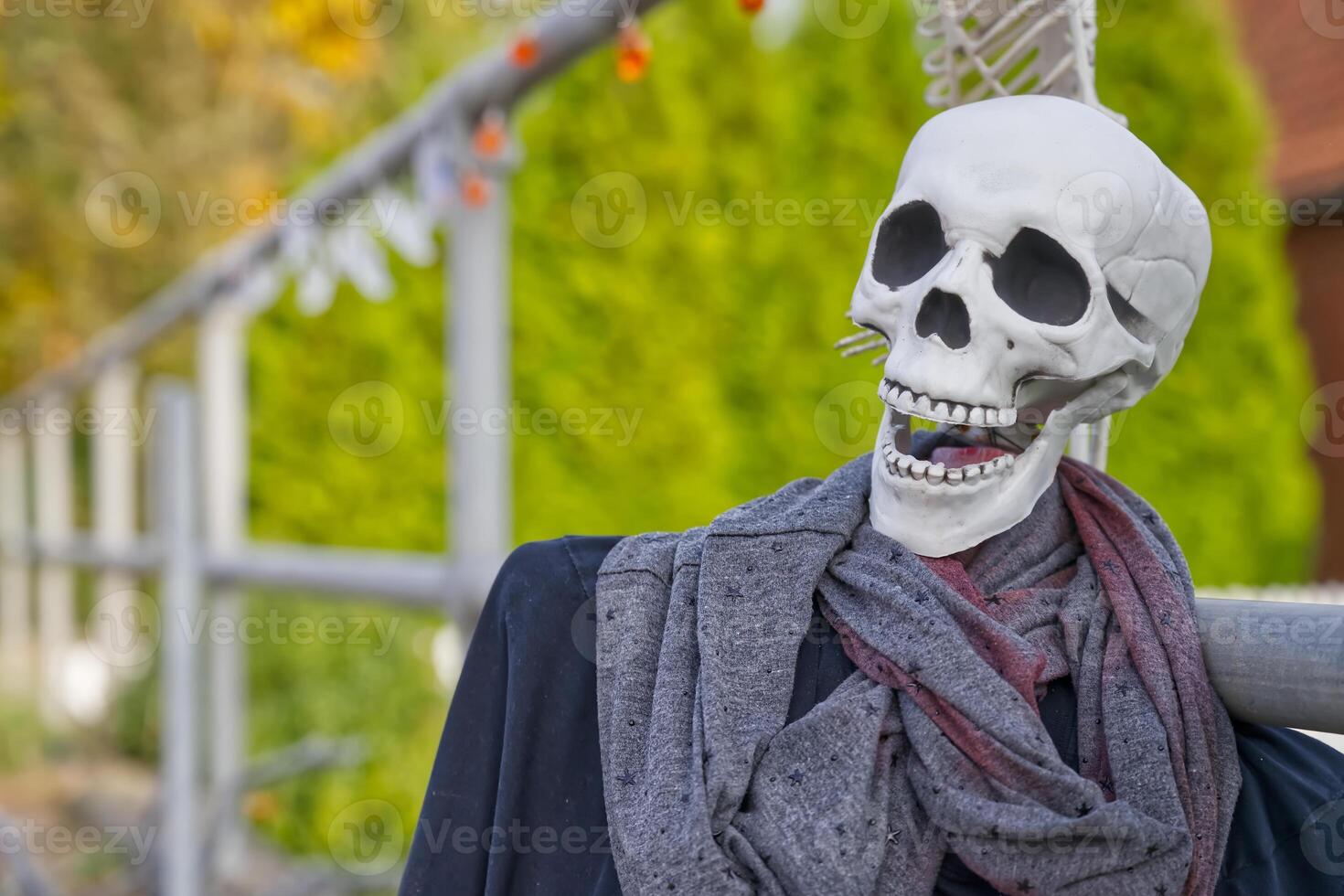 Festive Skeleton Decoration in Autumn Garden photo