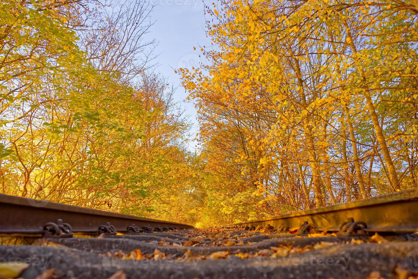 Autumn Railway Tracks Surrounded by Colorful Foliage photo