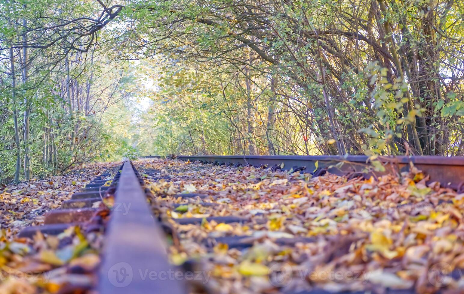 Abandoned Railway Track in Autumn photo