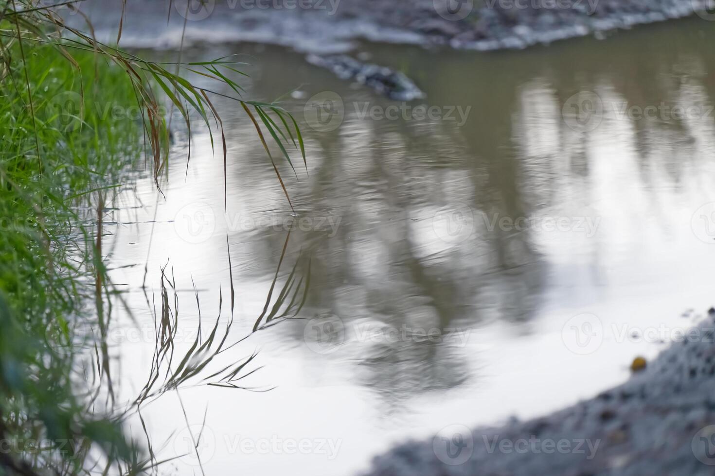 Tranquil Water Reflection in Nature photo