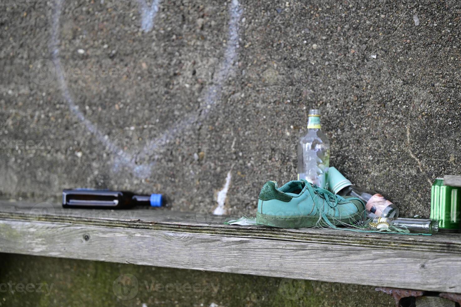 Urban Decay with Green Sneaker and Litter photo