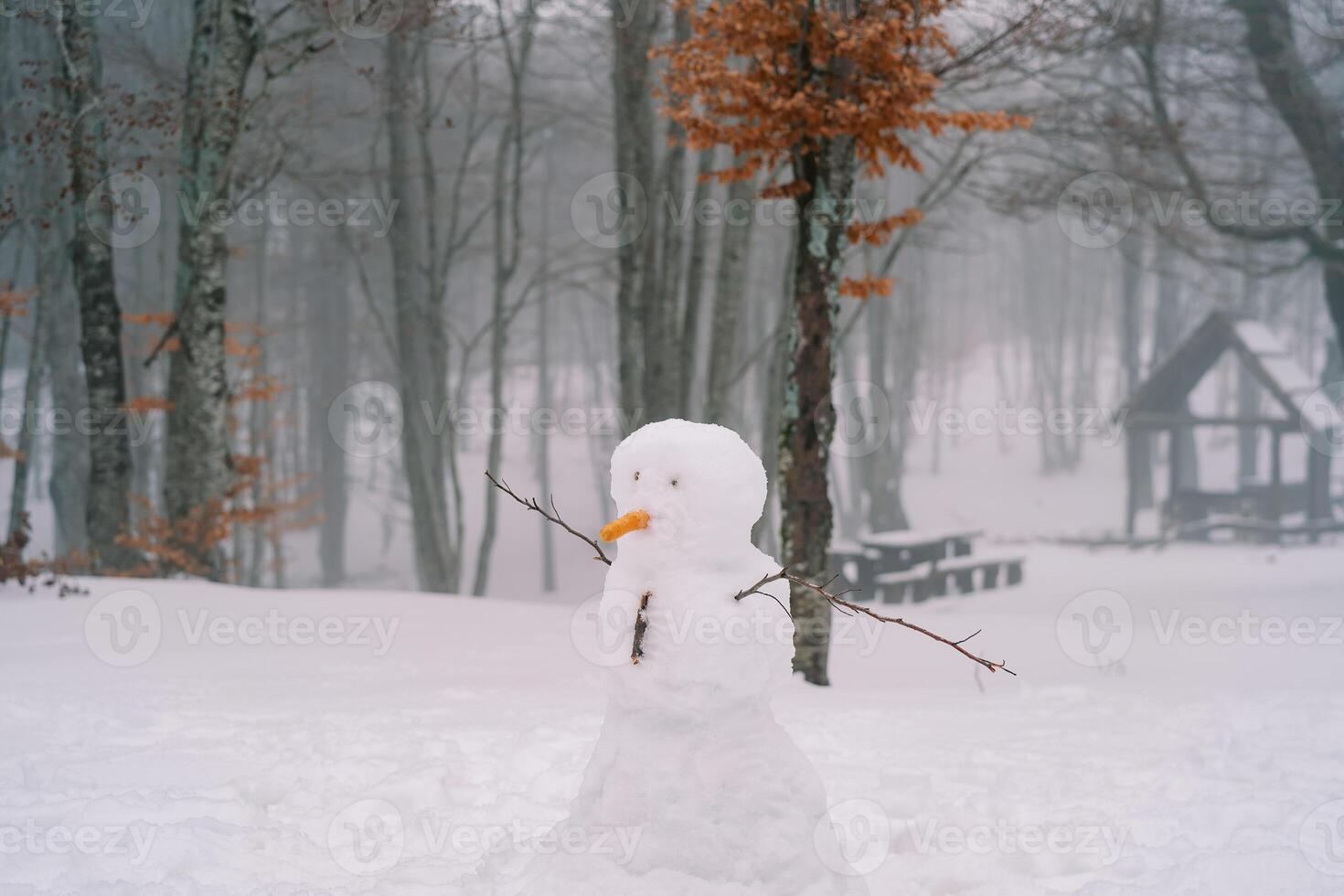 Snowman with a carrot nose and chopstick hands stands in a snowy forest photo