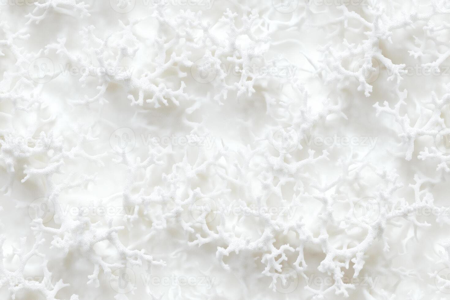 A close up of a white wall with some white paint photo