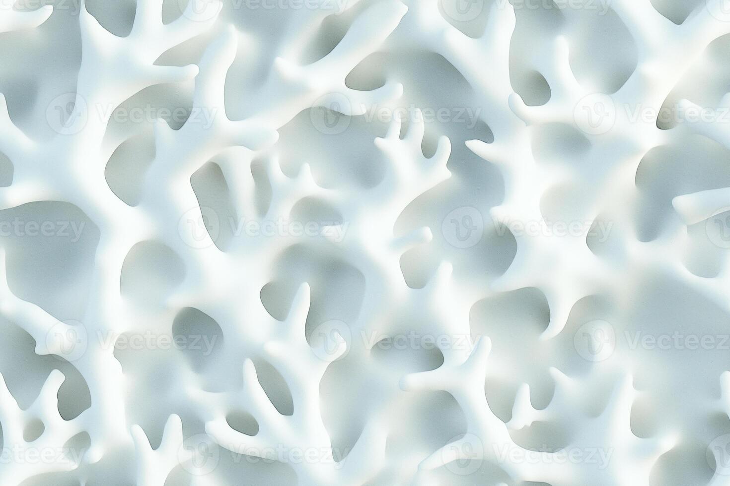 A white background with many small white corals photo