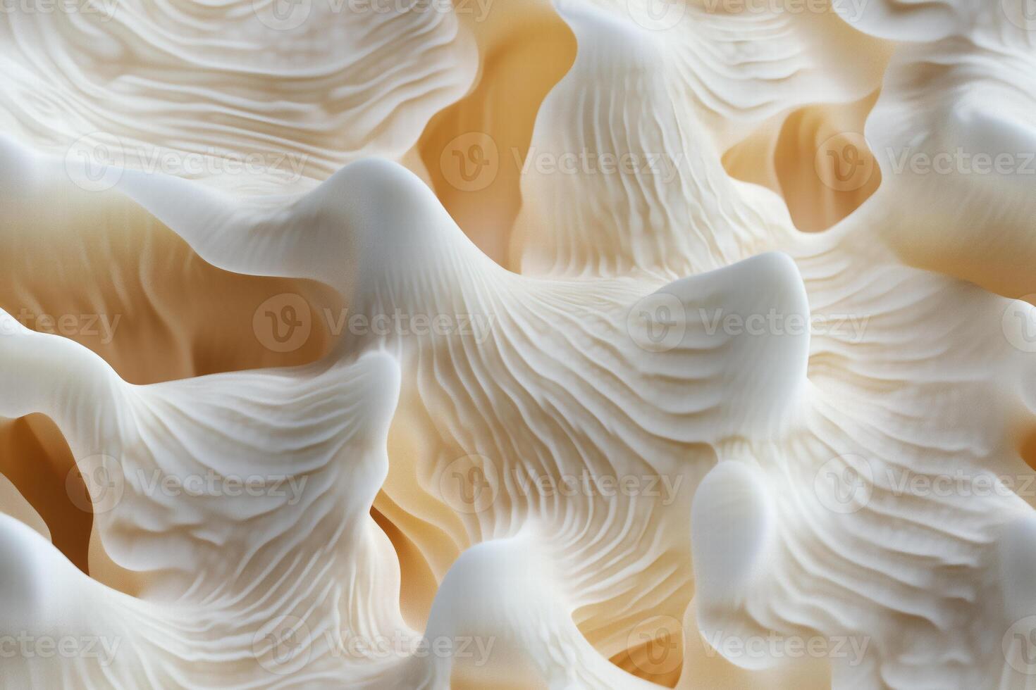 A close up of a white mushroom photo