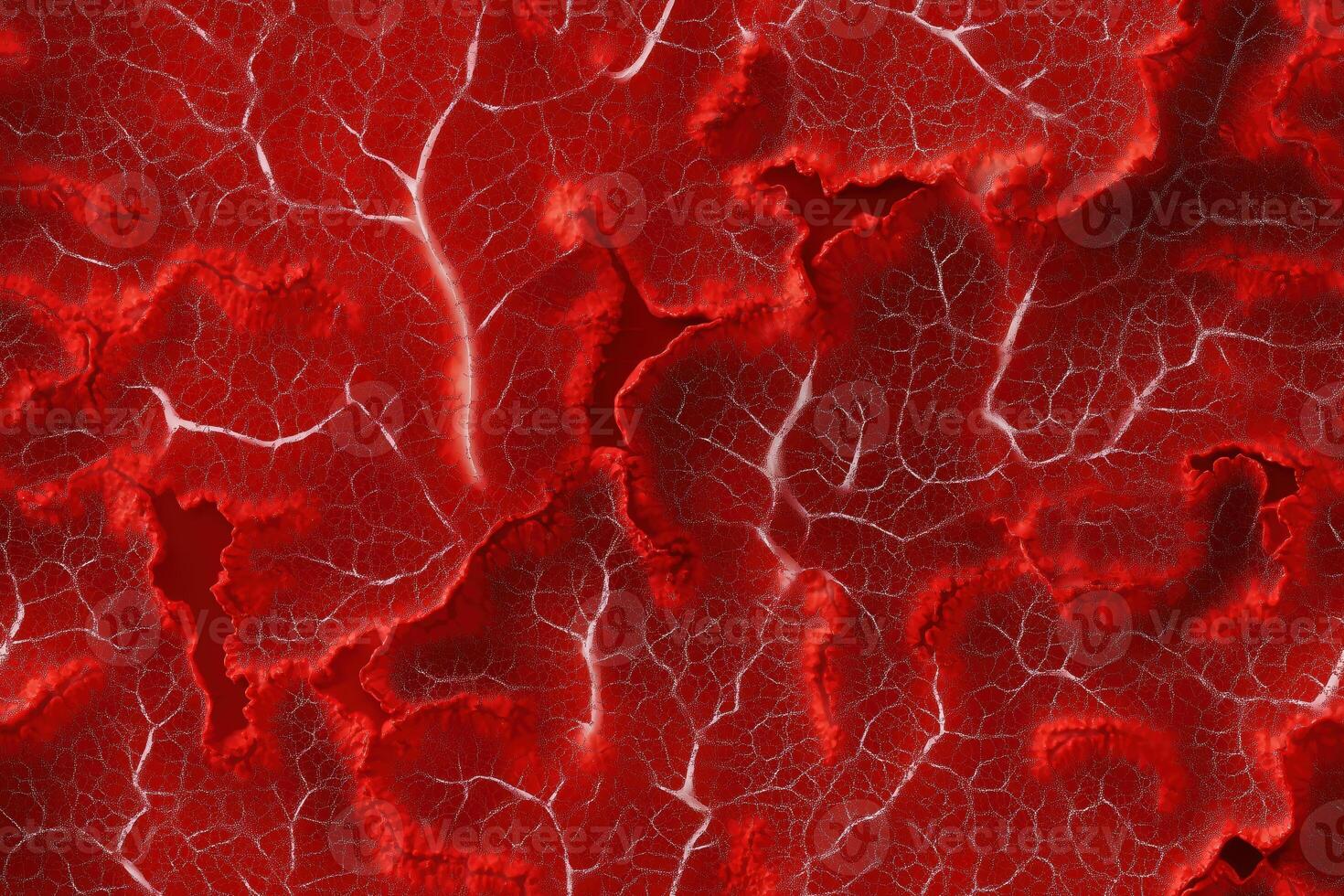 A red background with many veins photo