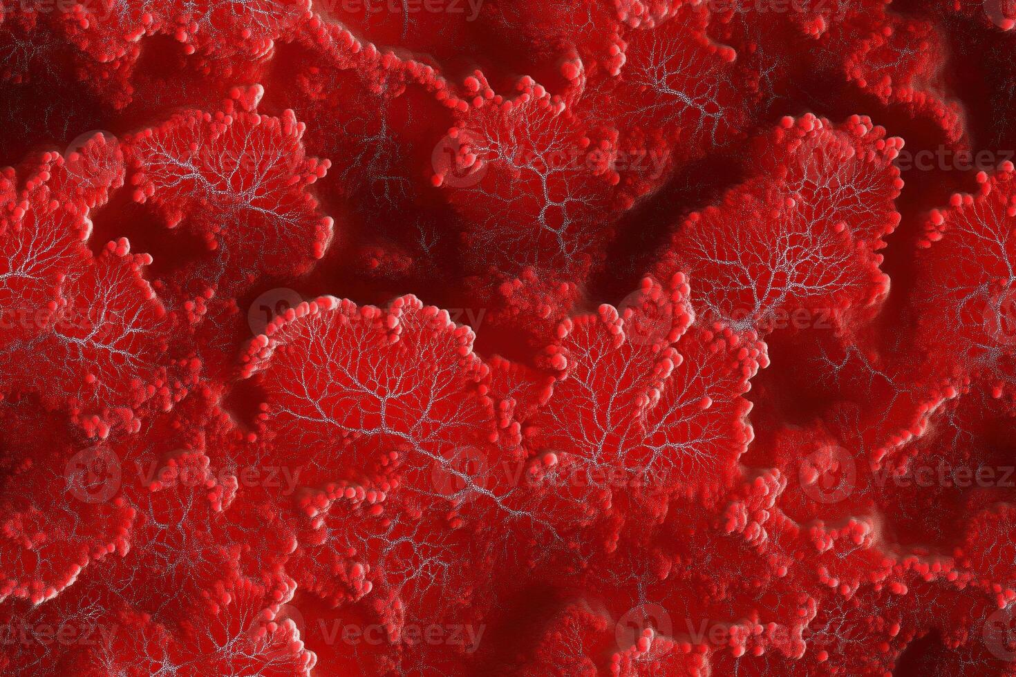 A close up of a red leaf photo