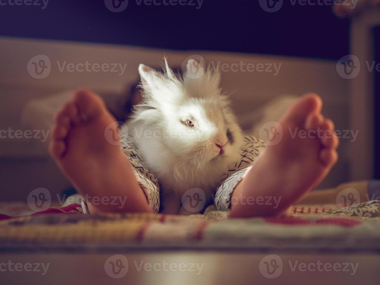 Unrecognizable kid with rabbit on floor photo