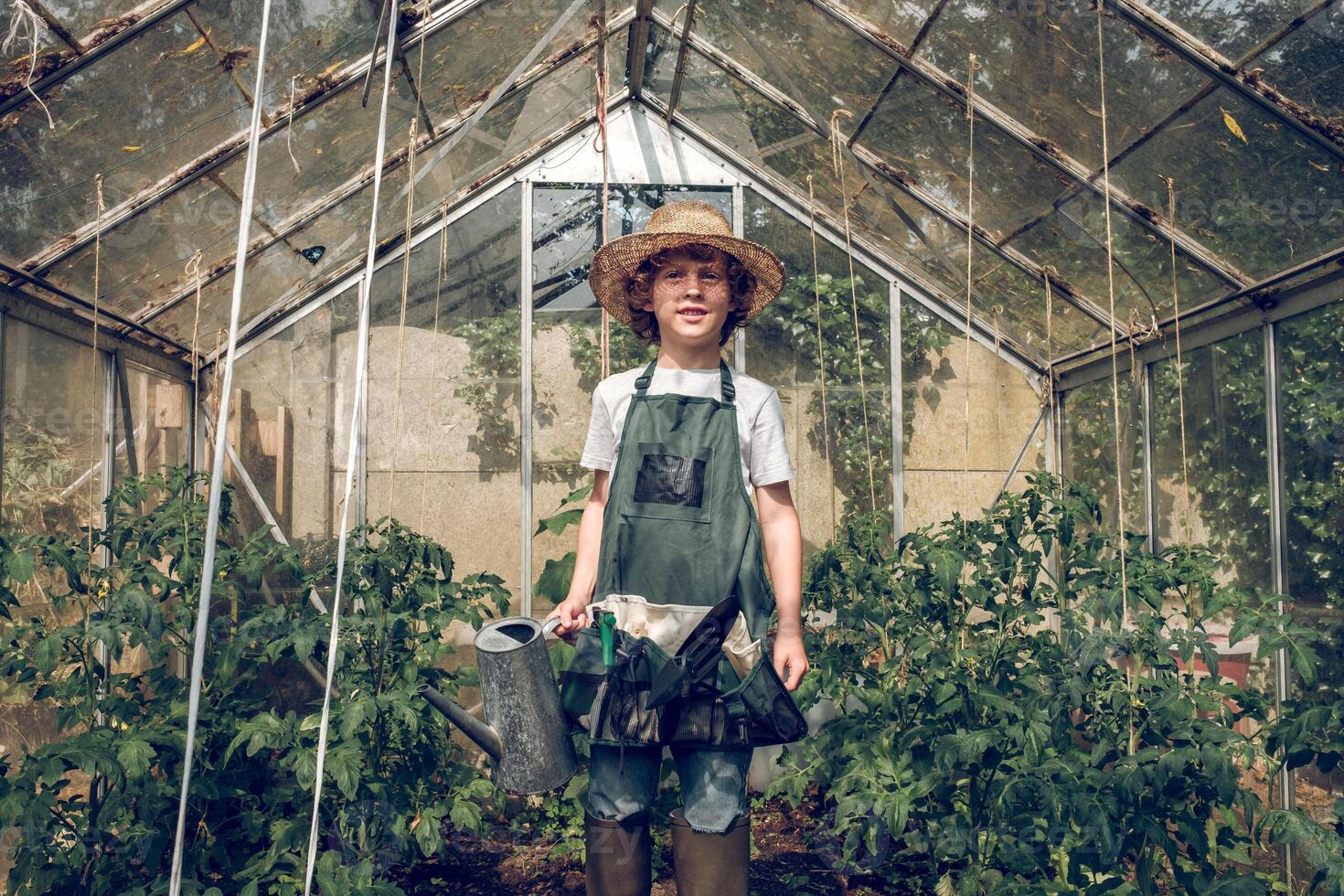 Preteen boy gardener with watering can in glasshouse photo