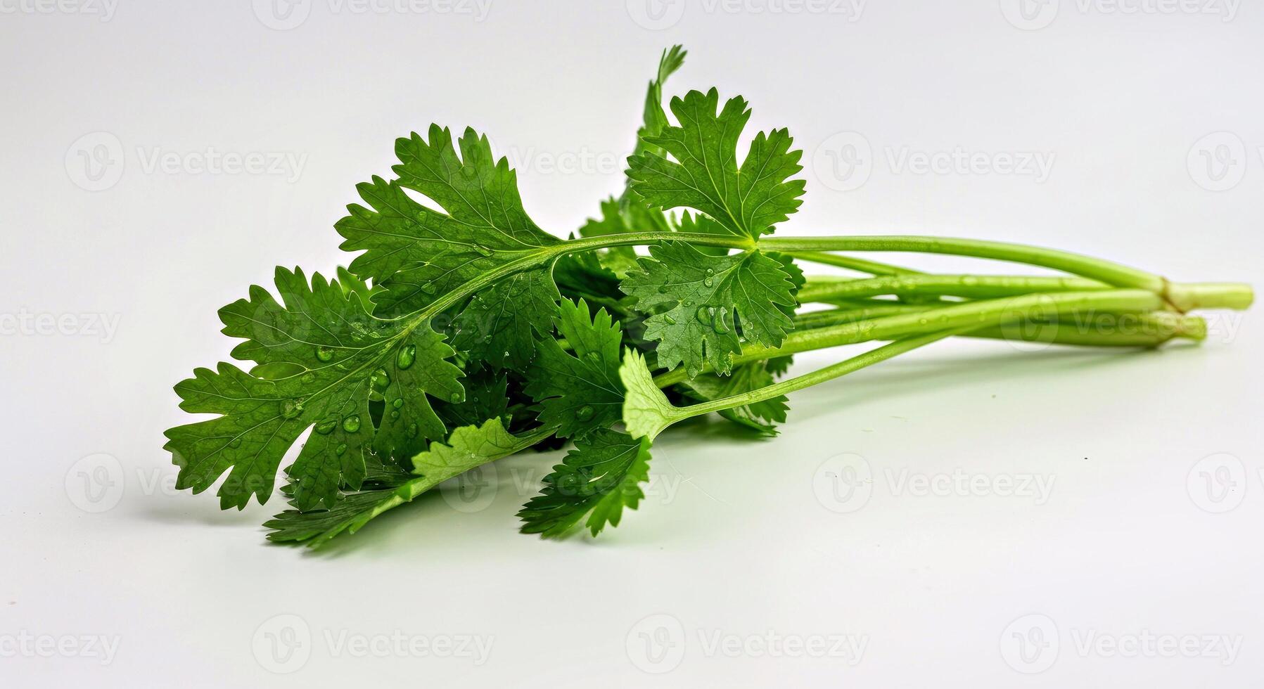 A bunch of green herbs on a white surface photo
