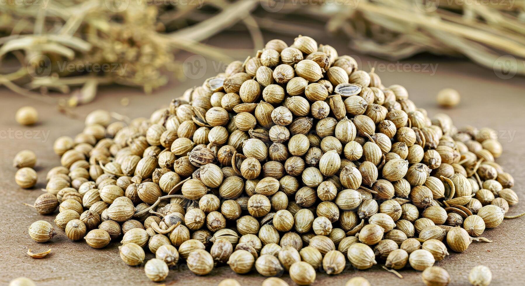 A pile of seeds on a table photo