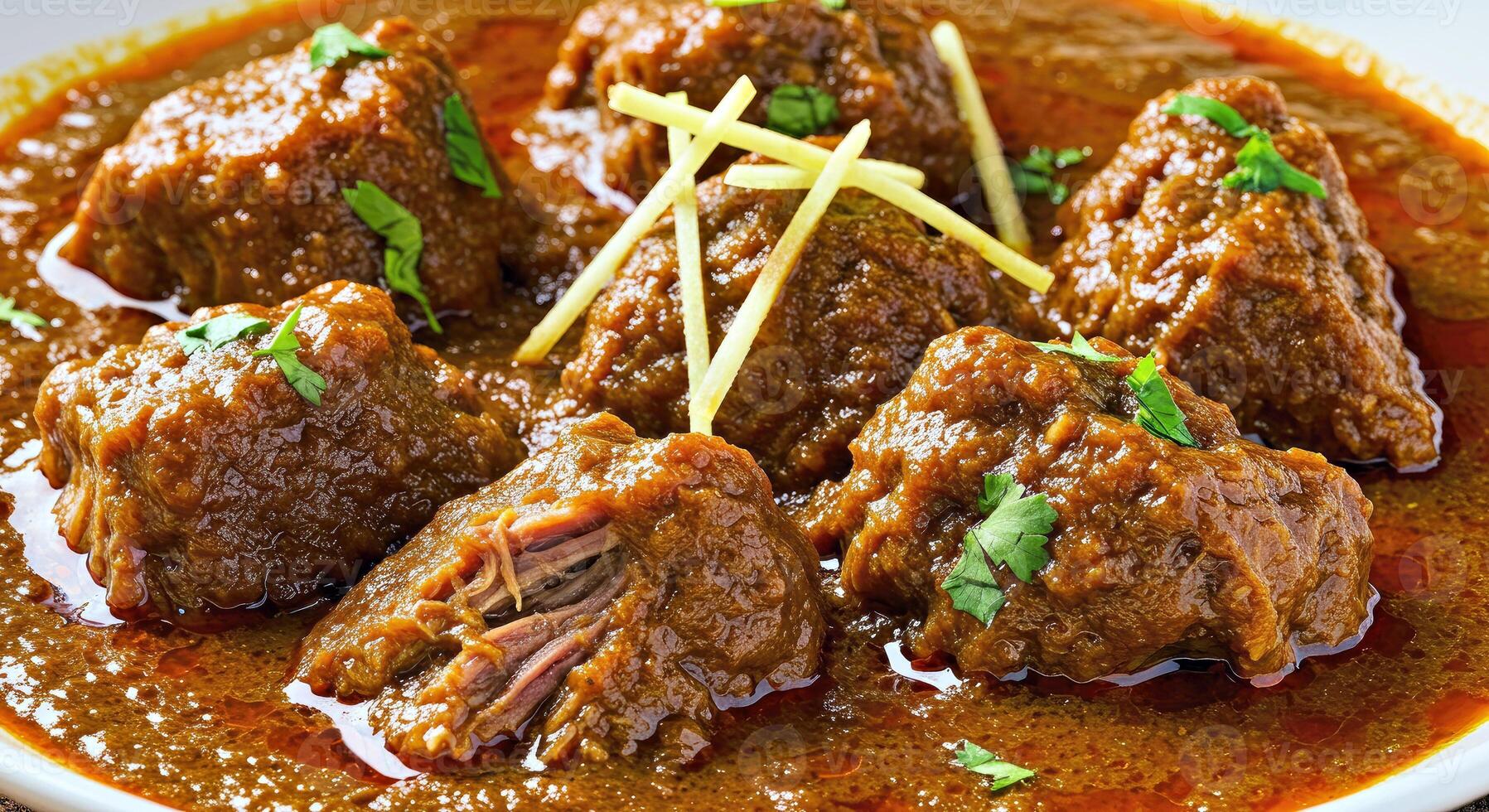 A bowl of meat stew with garnish on top photo