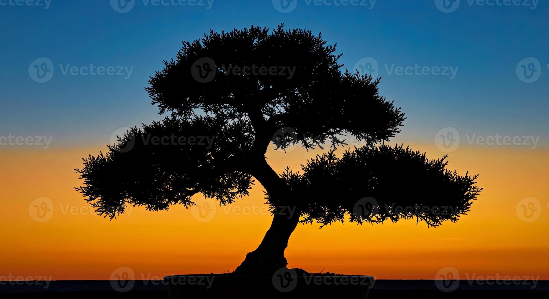 A bonsai tree is silhouetted against a sunset photo