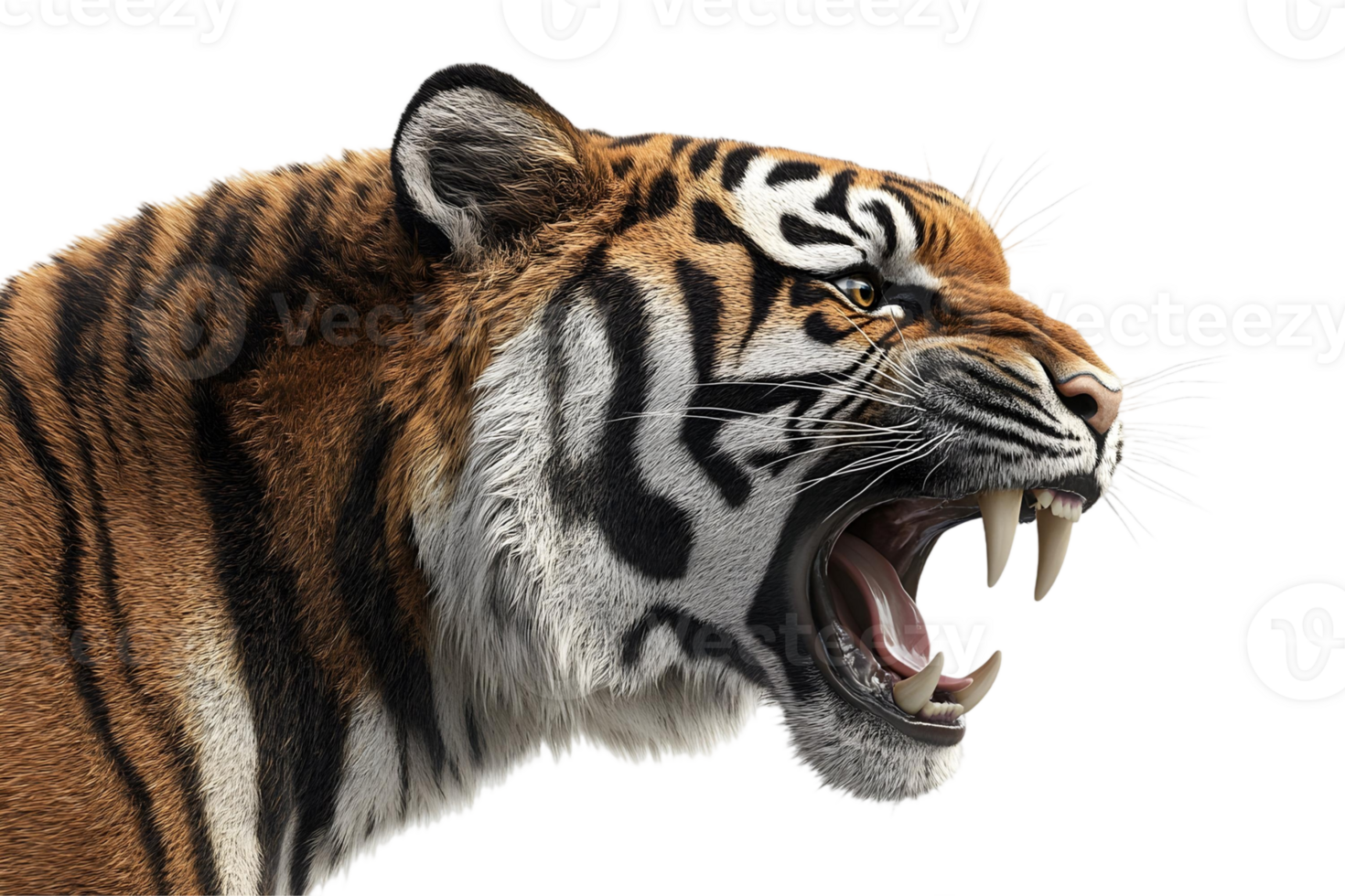 Roaring Tiger Profile View Close Up Detailed 3D Render of a Majestic Wild Cat png