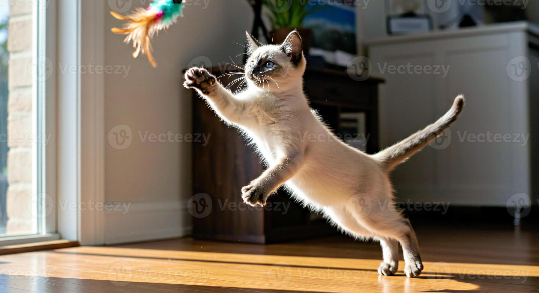 A siamese cat playing with a toy photo