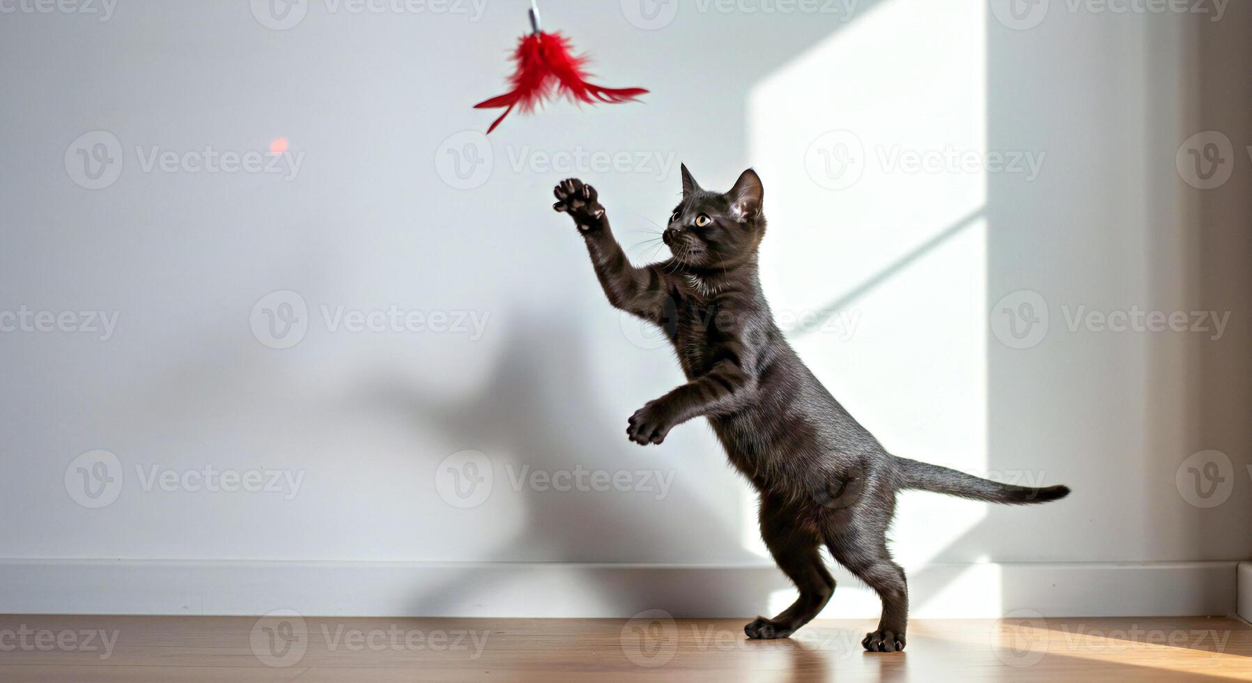A cat playing with a red feather toy photo