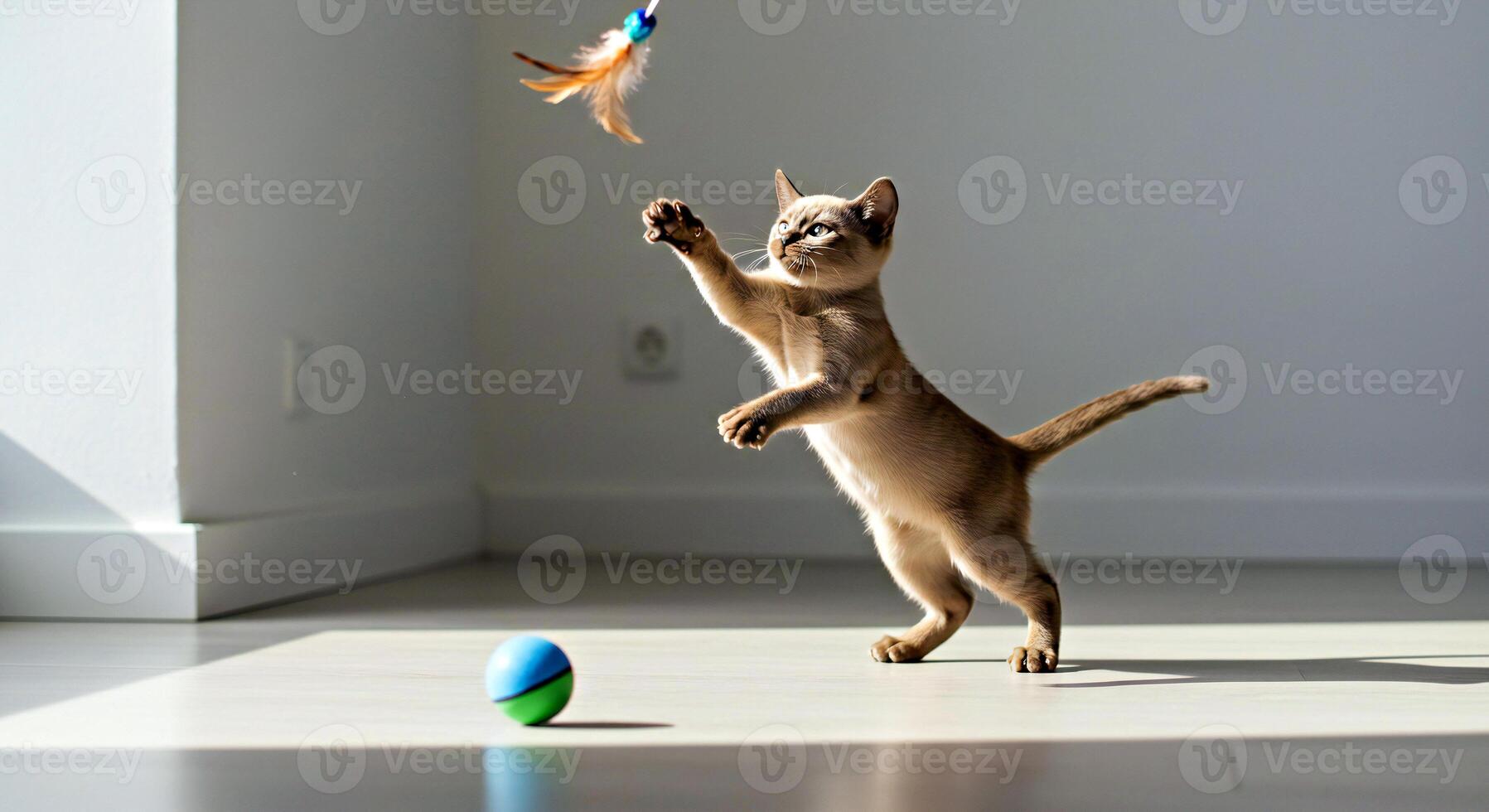 A cat playing with a toy in a room photo