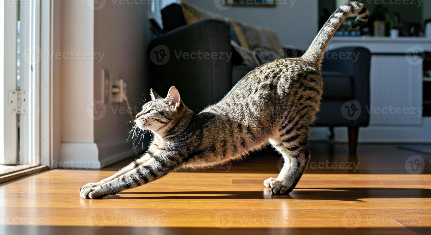 A cat stretching on the floor photo