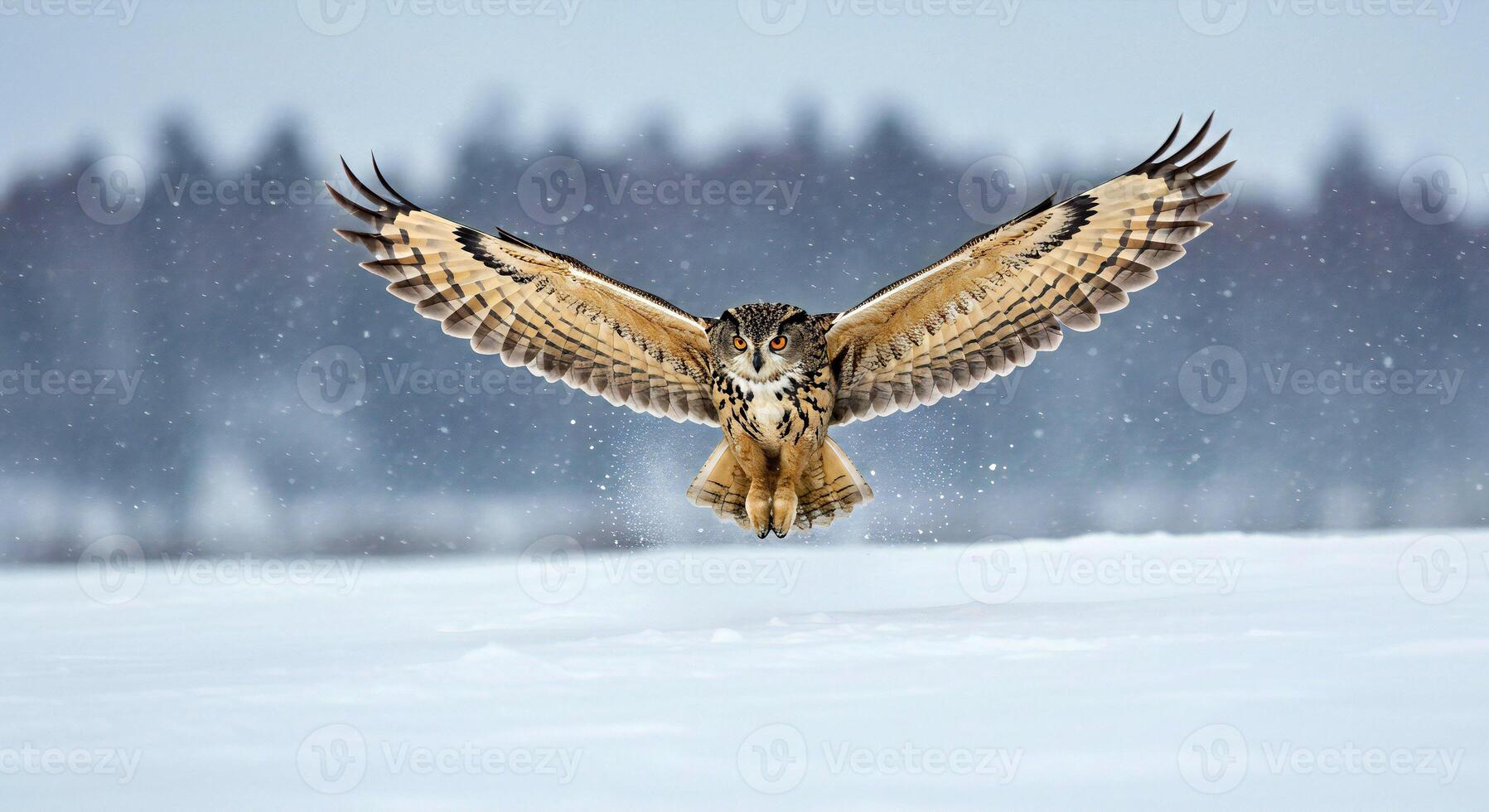 A large owl flying over a snowy field photo