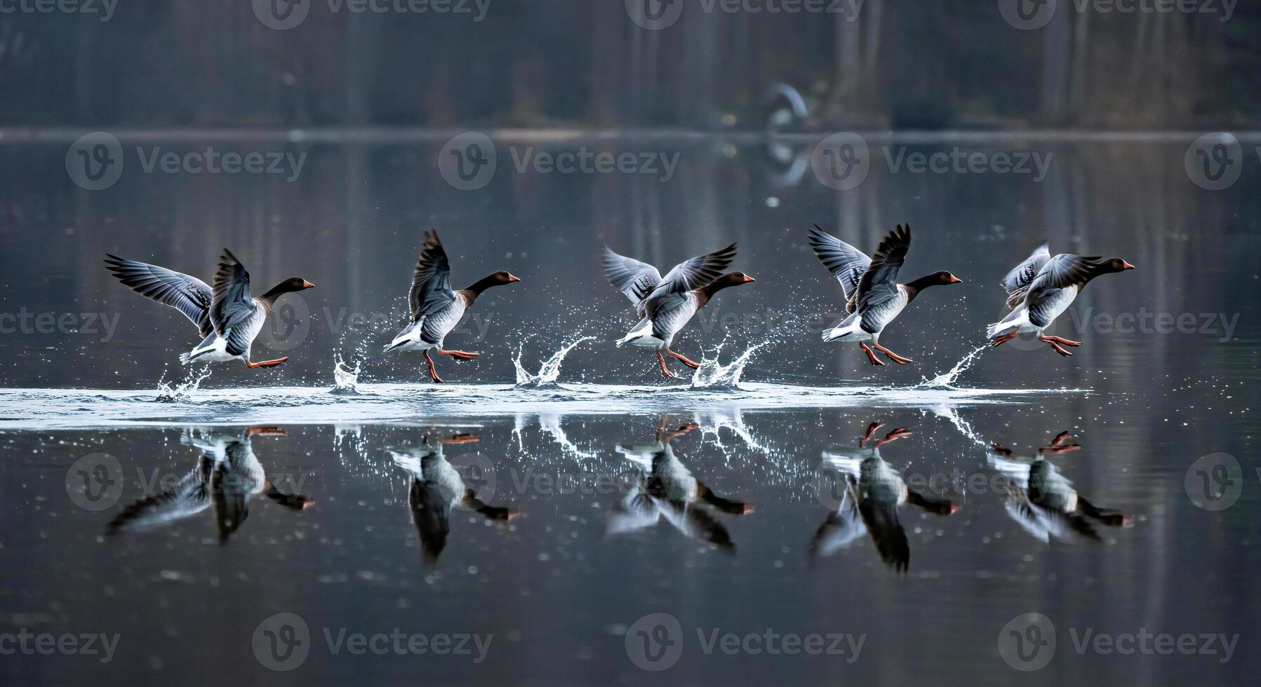 A group of ducks flying over water photo