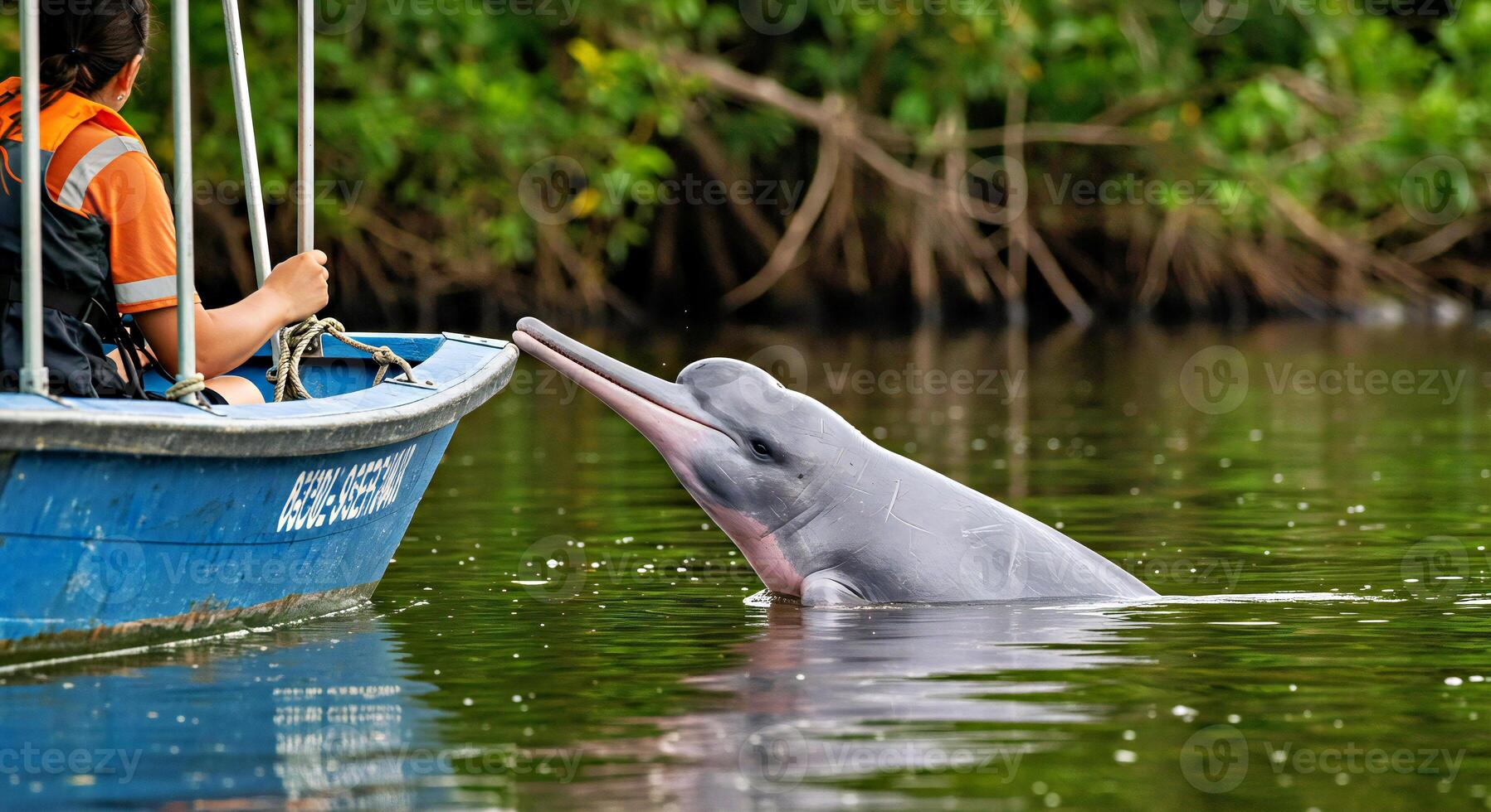 A dolphin is in the water with a man on a boat photo