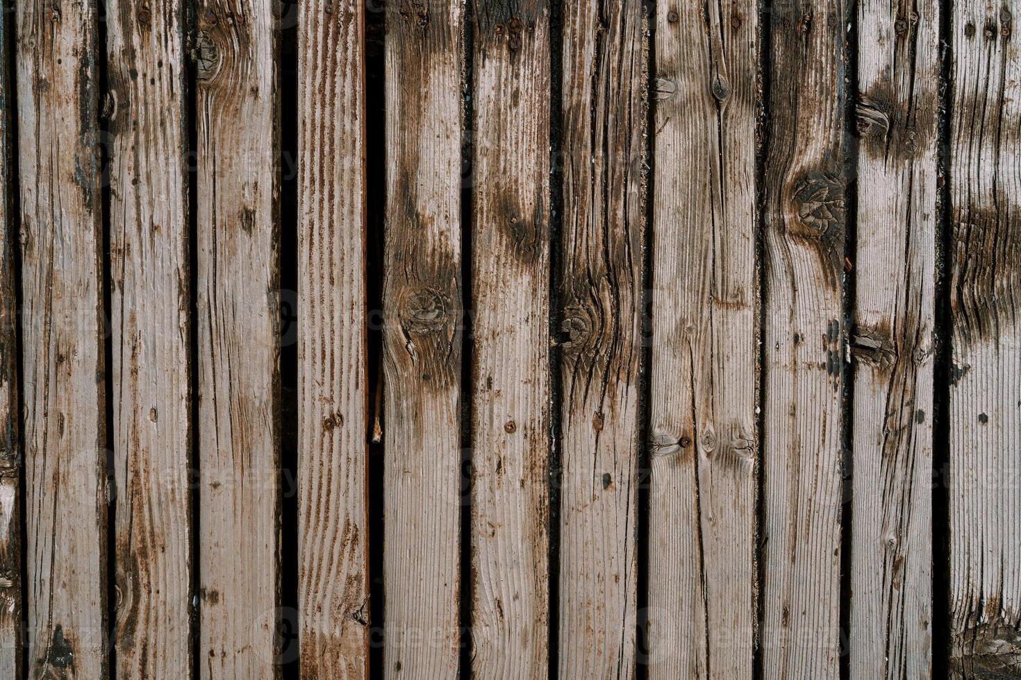 Texture of an old unpainted shabby wooden fence photo