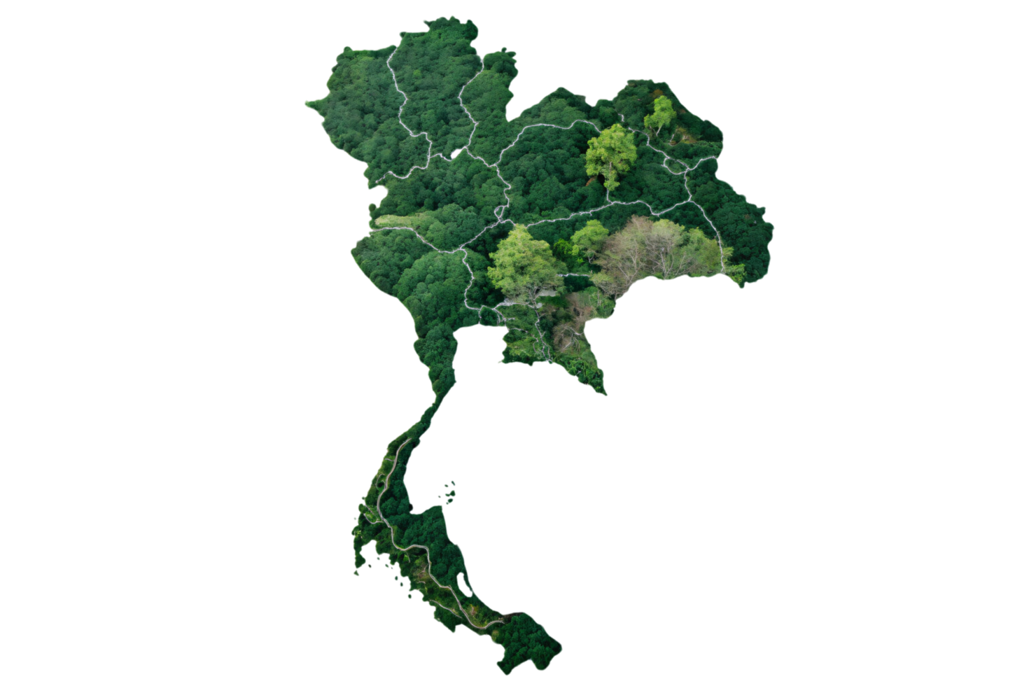 Thailand map with varying greenery, showing different forest densities and distinct regions, symbolizing ecological diversity and a balance between nature and geography png
