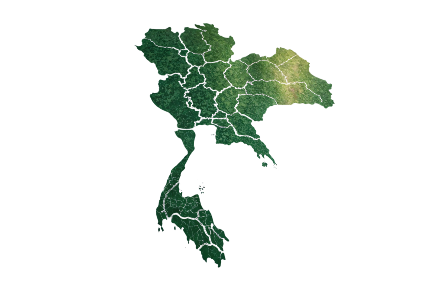 Thailand map with a topographic green texture, divided into regions, highlighting its forested areas and unique ecological zones png