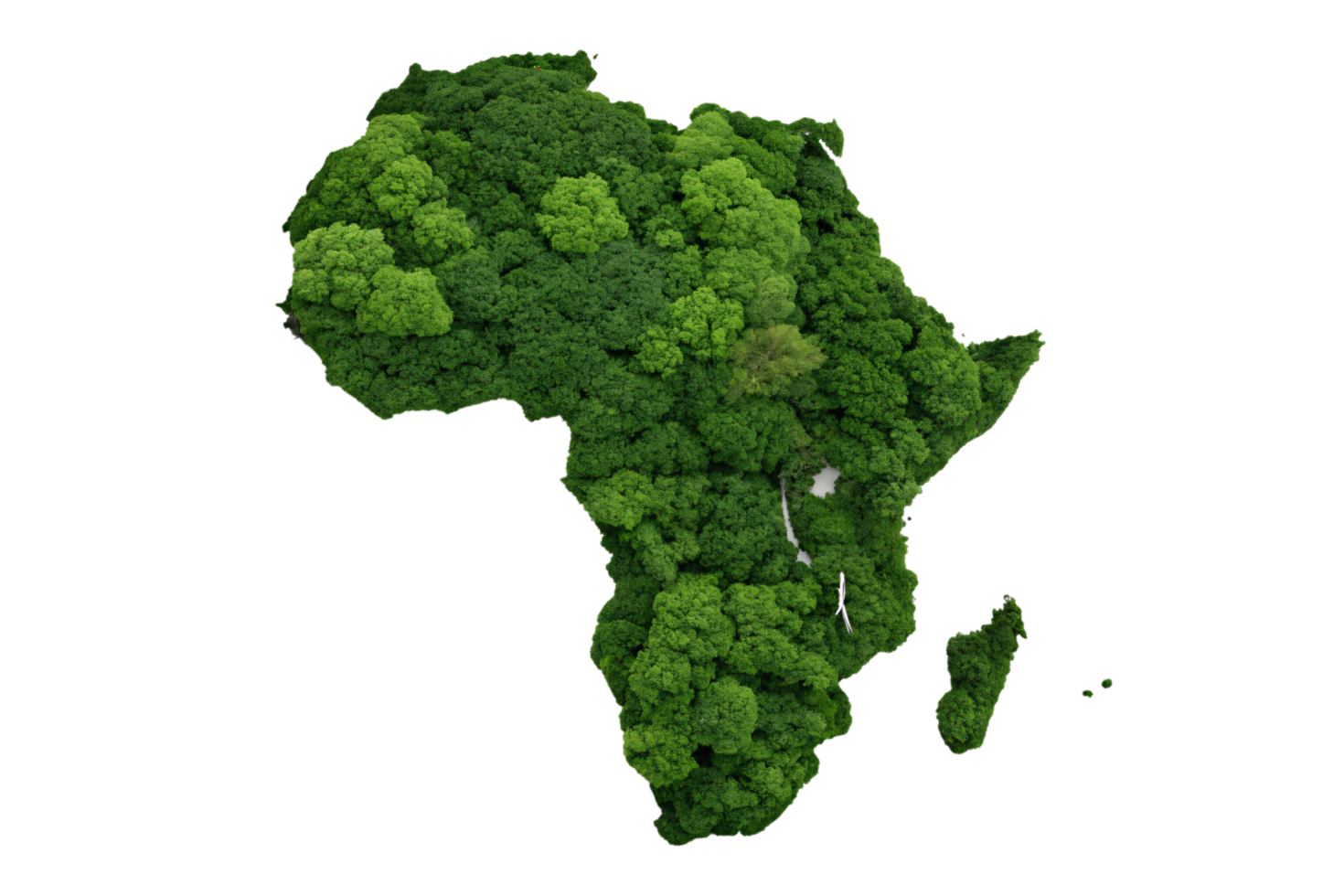 Africa shape overlaid with dense green forests, emphasizing biodiversity and the continent's rich natural resources in an artistic representation png