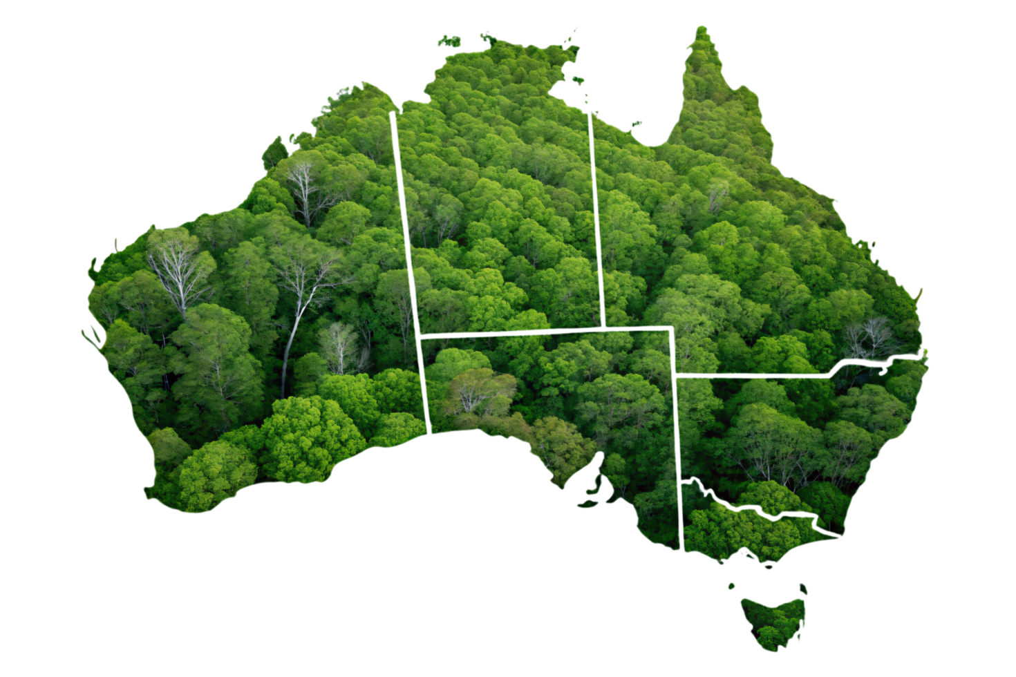 An artistic depiction of Australia covered with green treetops and defined state borders, symbolizing the connection between nature and regions png