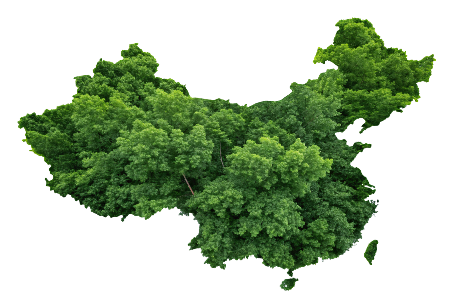 A map of China, emphasizing lush foliage with varying shades of green, symbolizing the richness of its ecological zones png