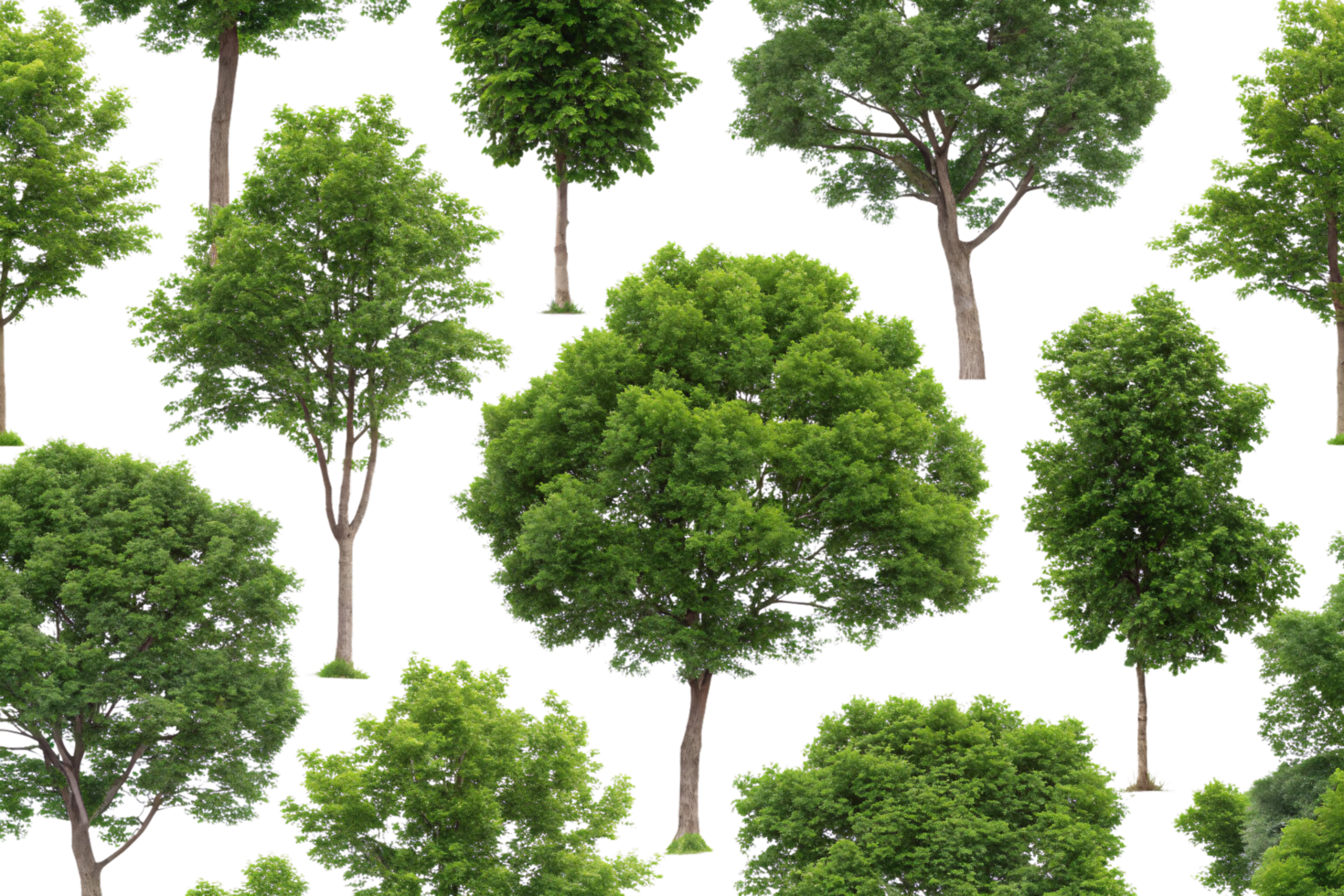A scattered pattern of trees, each showcasing unique variations in shape and size, set against a clean, black background for emphasis png