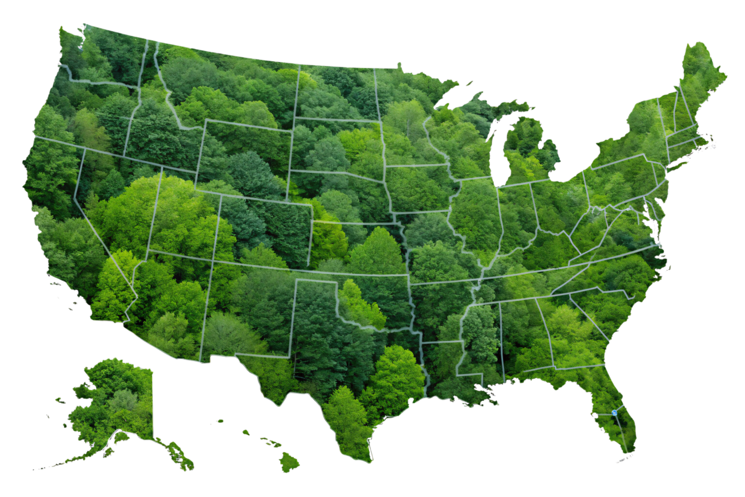 The United States map filled with lush, dense forests, showcasing the country's abundant greenery and diverse ecosystems across regions png