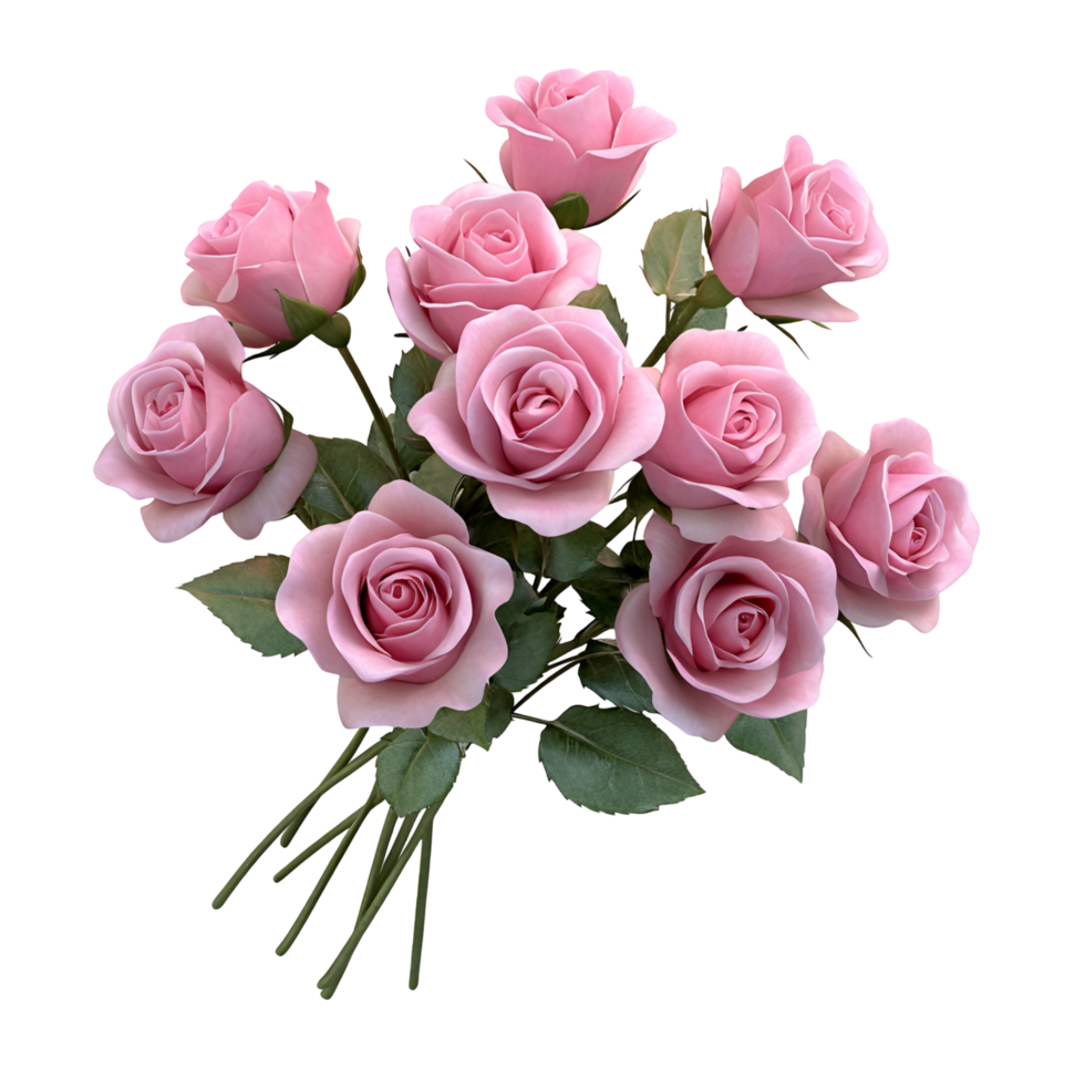 Fresh Pink Roses Bloom Transparent Background png