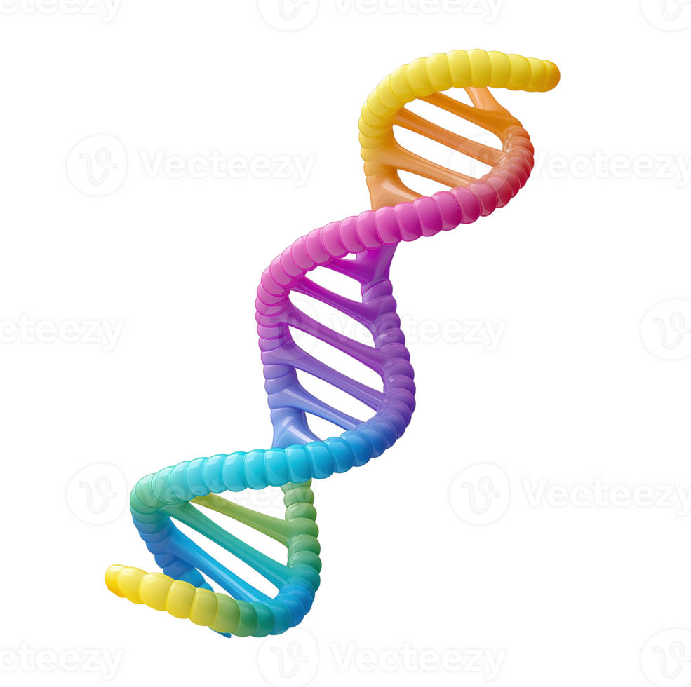 Glossy rainbow DNA helix transparent image. Human genome isolated cutout 3d render. Healthcare innovation. Genetics, medical science, biotechnology cut out clipart design element png