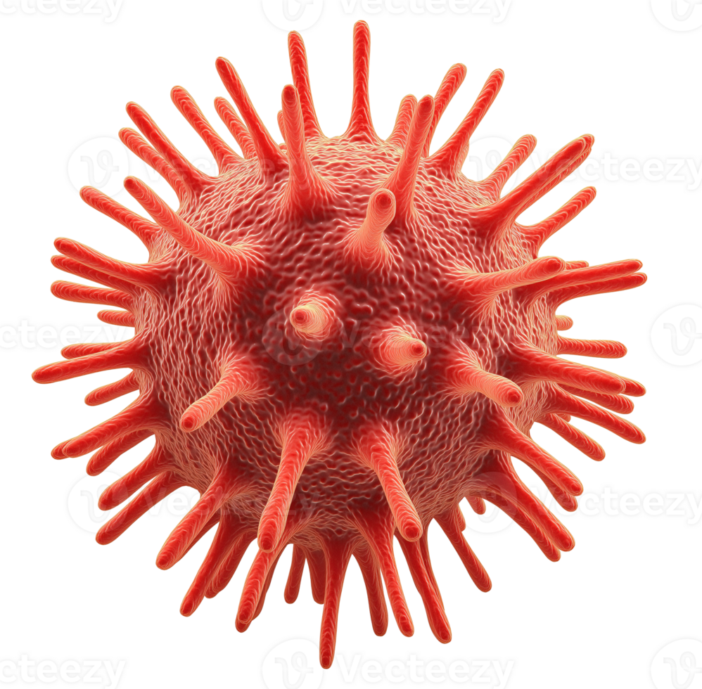 Red spiky virus transparent image. Viral infection, pandemics, microbiology isolated cutout 3d render. Disease outbreak. Pathogen. Spike protein cut out clipart design element png