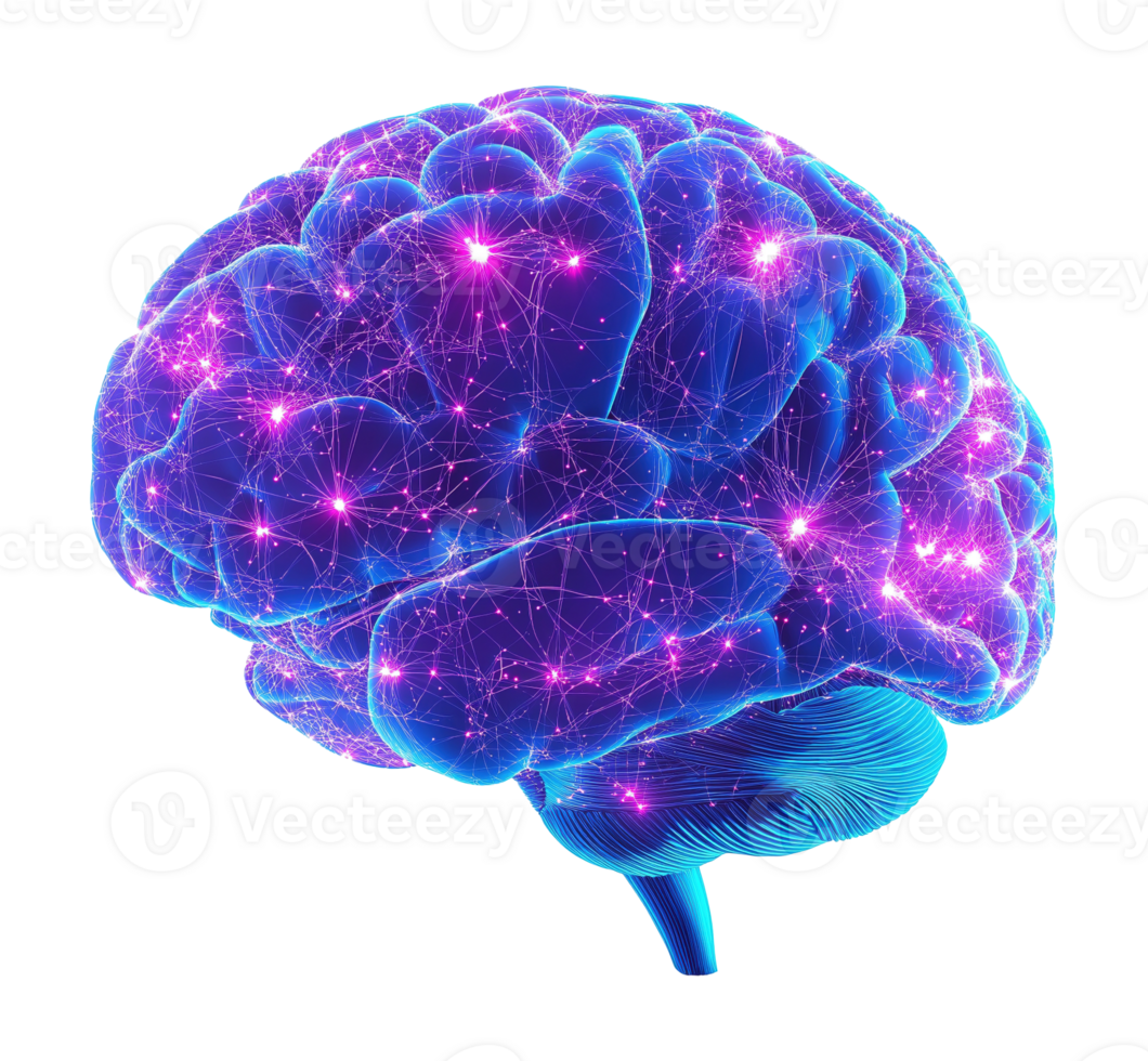 Neural network digital brain transparent image. Human cognition isolated cutout 3d render. Neuroscience study. Cognitive science. Mental processing cut out clipart design element png