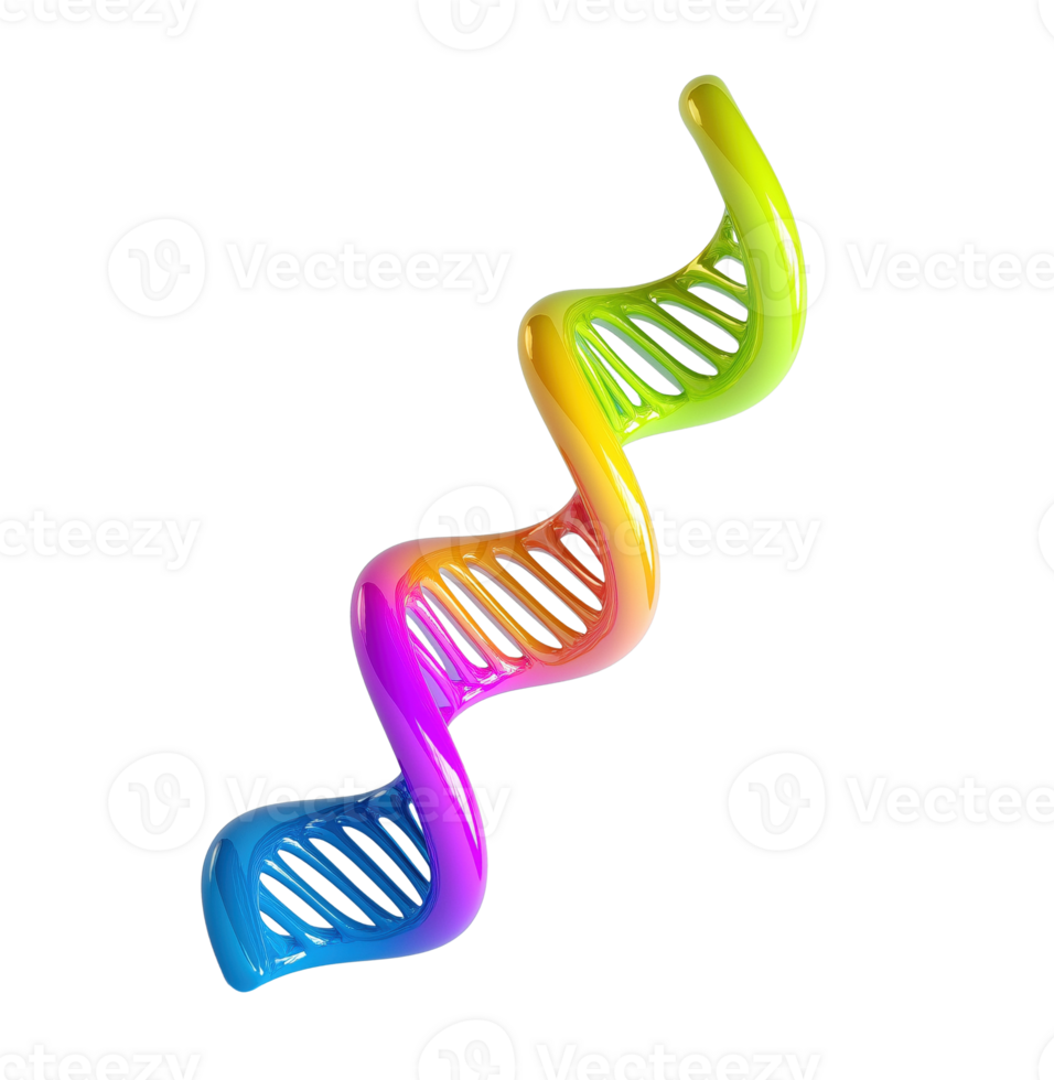 Sleek glossy multicolor DNA strand helix transparent image. Genetic human genome, bioengineering isolated cutout 3d render. Medical innovation cut out clipart design element png