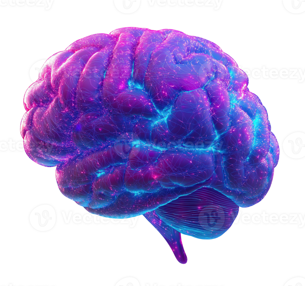 Futuristic purple brain with blue pink neural networks transparent image. Cognitive science isolated cutout 3d render. Artificial intelligence cut out clipart design element png