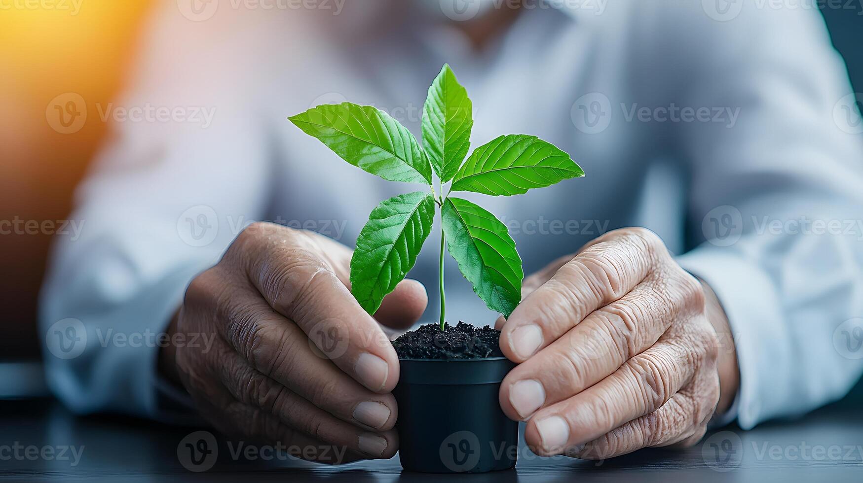 Group of seniors volunteering at a community event, planting trees photo