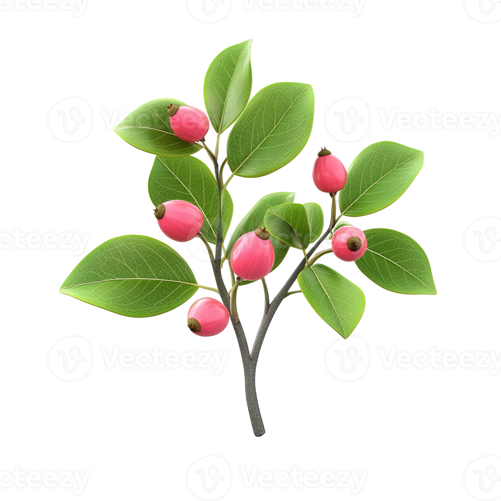 A detailed view of a stylized plant with pink berries and leaves png