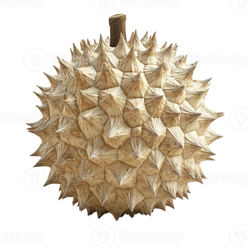 A spiky tropical fruit shows a unique texture and shape png