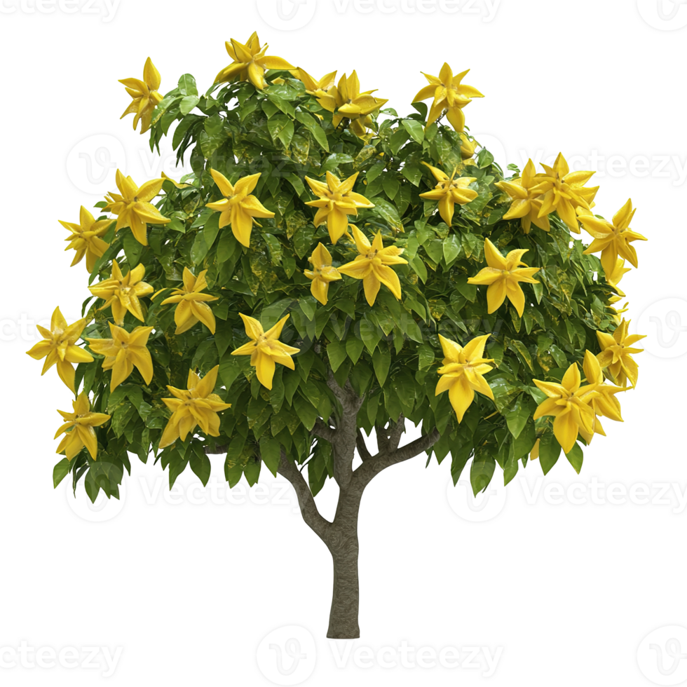 A vibrant tree with yellow flowers and green foliage displays png