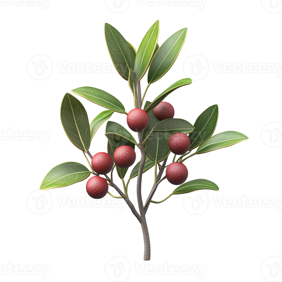A tree branch featuring ripe red fruit and lush green leaves png