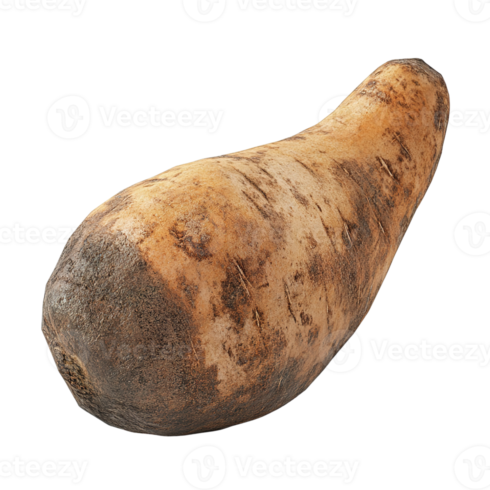 A long brown root vegetable displayed isolated on transparent background png