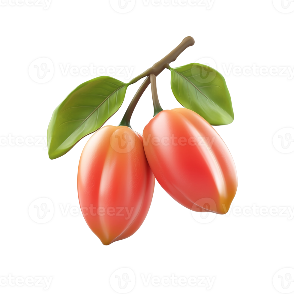 Two ripe red fruits hang from a leafy stem isolated on transparent background png